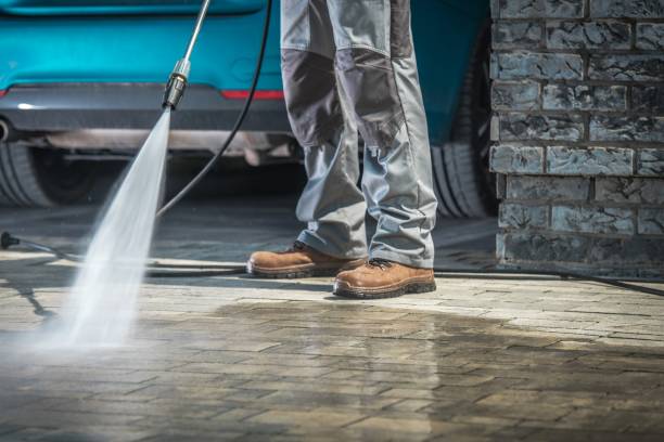 Best Gutter Cleaning  in Litchfield, MN
