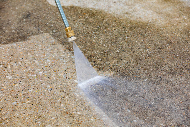 Best Roof Washing  in Litchfield, MN