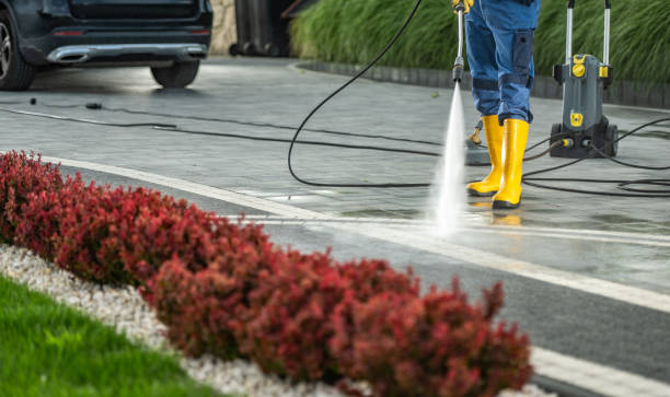 Best Fence Cleaning  in Litchfield, MN